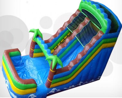 Tropical water slide2